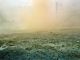 1987-manneck-025